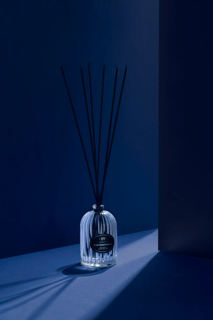 Aromatic89 - Reed Diffuser Retro