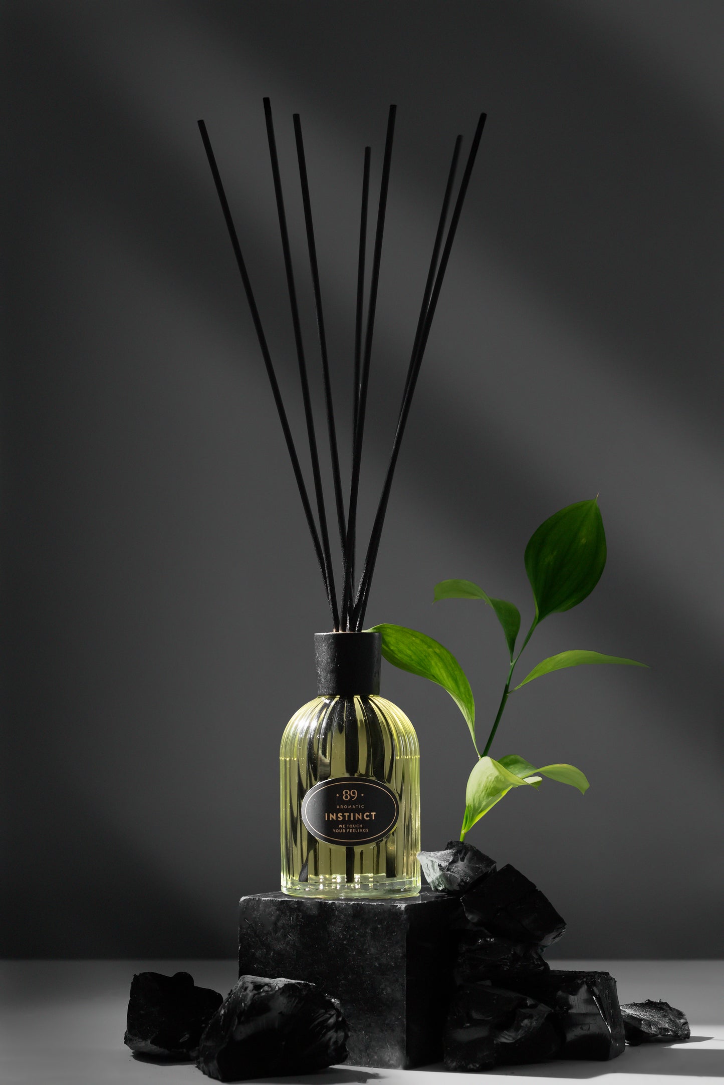 Aromatic89 - Reed Diffuser Retro